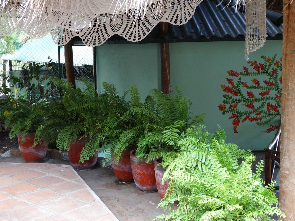 مسايا Apoyo Resort المظهر الخارجي الصورة